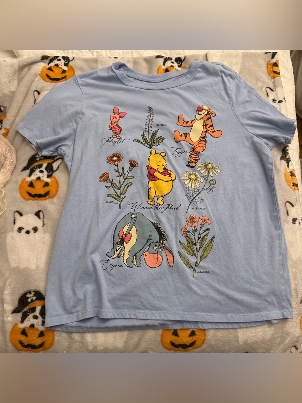 Hybrid Apparel Light Blue Winnie the Pooh & Friends Floral Graphic Tee